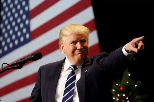 特朗普后院爆料视频播放,一场意想不到的幕后风波  第3张